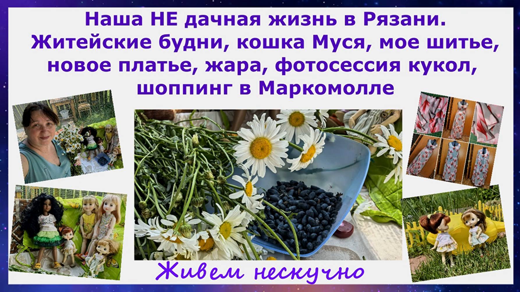 Наша НЕ дачная жизнь. Житейские будни, кошка Муся, жара, шитье, новое платье, куклы, шоппинг. Рязан