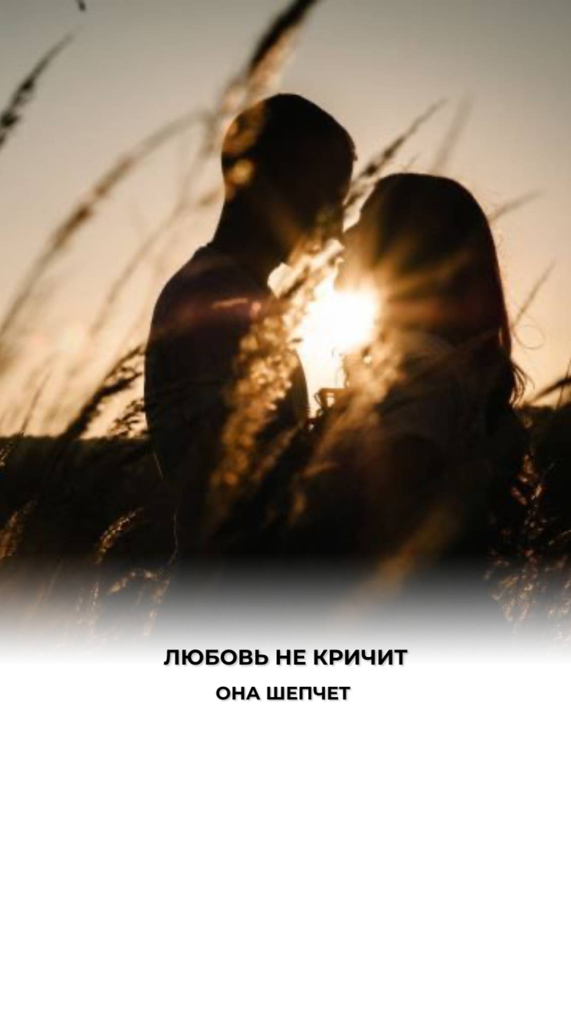 Спокойствие — это тоже страсть