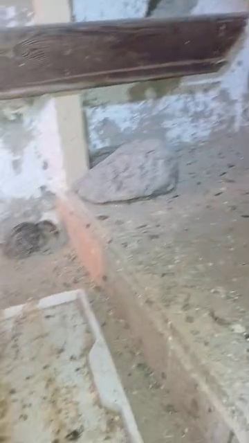 Таджикский Гид в Екатеринбурге