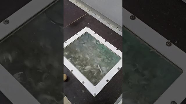 Чистка пухо-перьевых подушек в Химчистке "Мартини"  
 Написать в WhatsApp : wa.me/79914081828