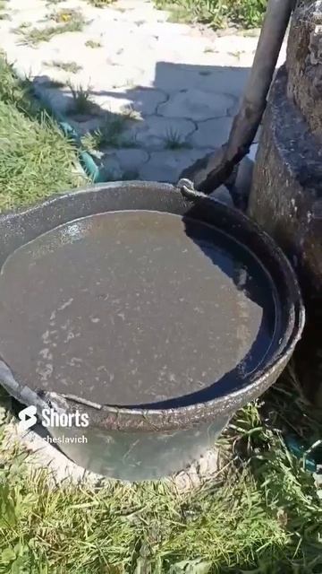 _КУРЯК_ (настой куриного помёта) - лучшее органическое удобрение....