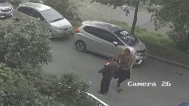 Вот такой у нас Владивосток — город, где даже кунг-фу бойцы сражаются с ветряными мельницами... и па