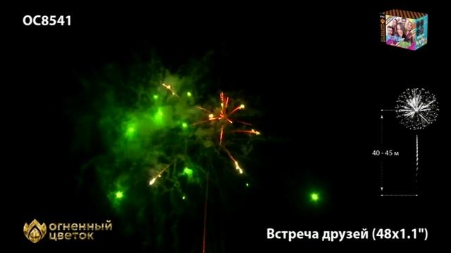 ОС8541