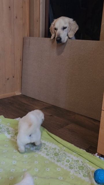 1000479319.mp4