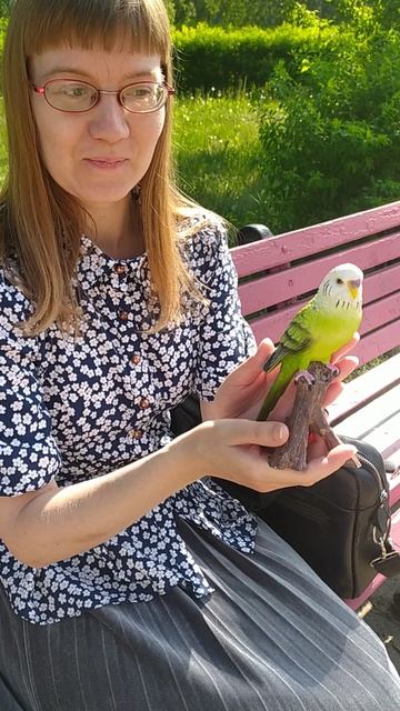 Купила попугая