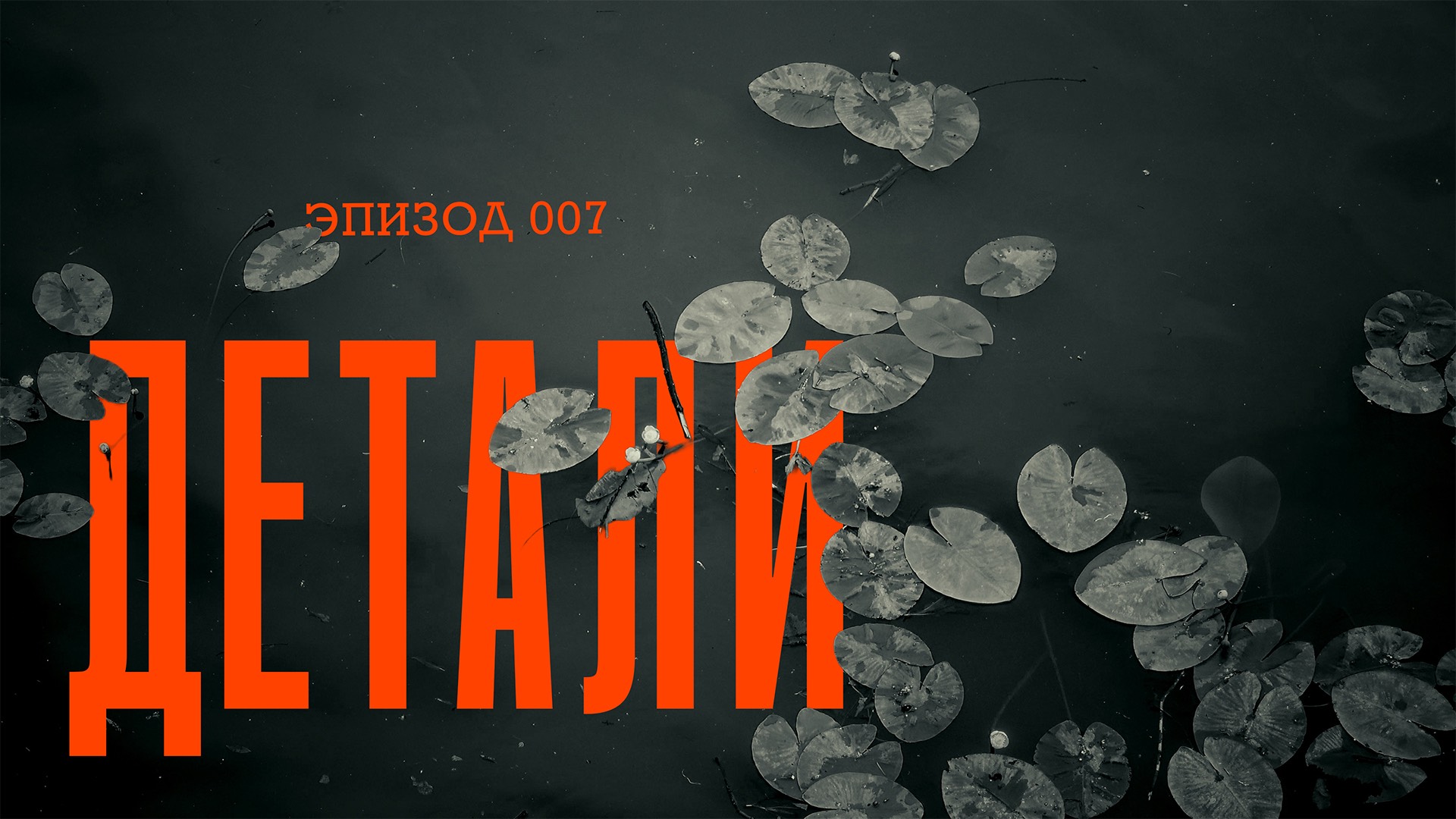 Эпизод 007. Детали
