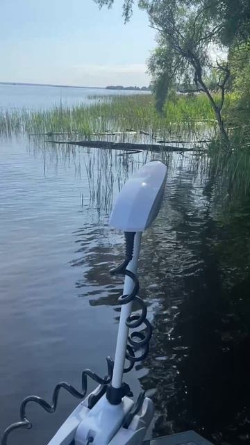 Авангард на воде