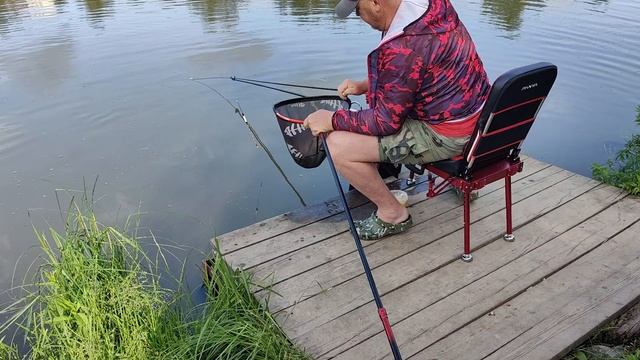 Светлые Горы Карп3 10.06.2025г.