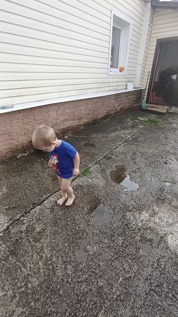 9.06.25 После дождика