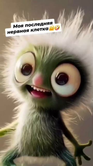 1000021727.mp4