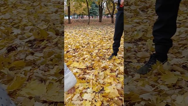 1000064342.mp4