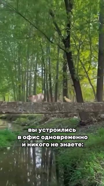А у вас был такой коллега?