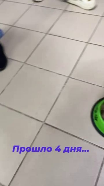 Бося уже хорошо кушает