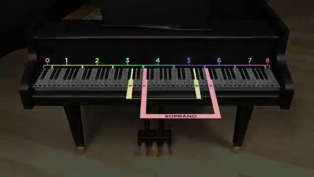 7833-15 - Your Voice Type - How to Sing