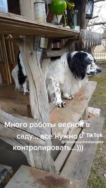 Все под контролем...)))