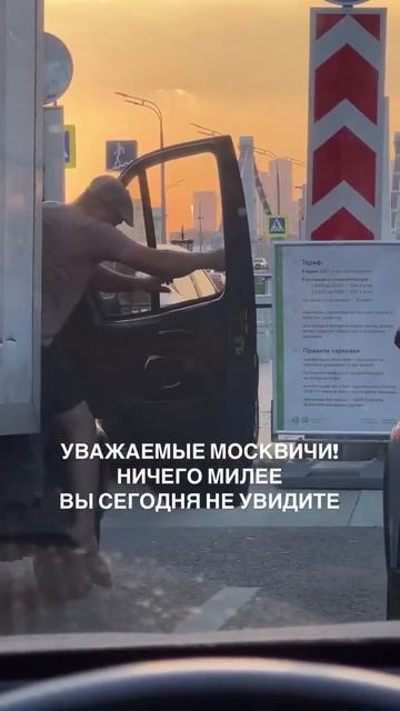 Приступ милоты на московских дорогах