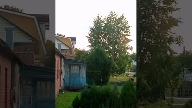 VID_20250610_191724.mp4