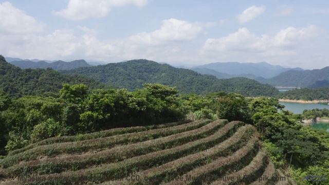 Почему здесь исчезают люди - Unstoppable -- Ketsa -- Unified Division