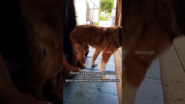 Барбоскин продолжает восстанавливаться