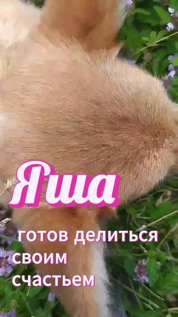Завтрак на природе!