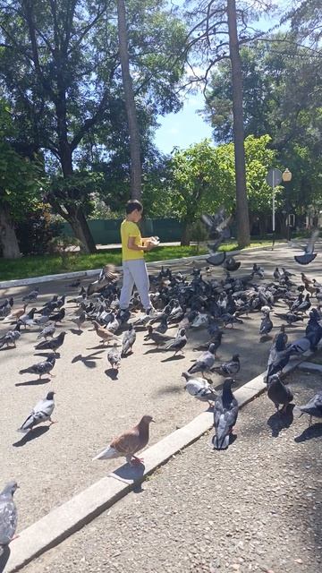 любимое занятие