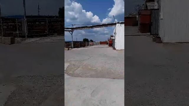 привет