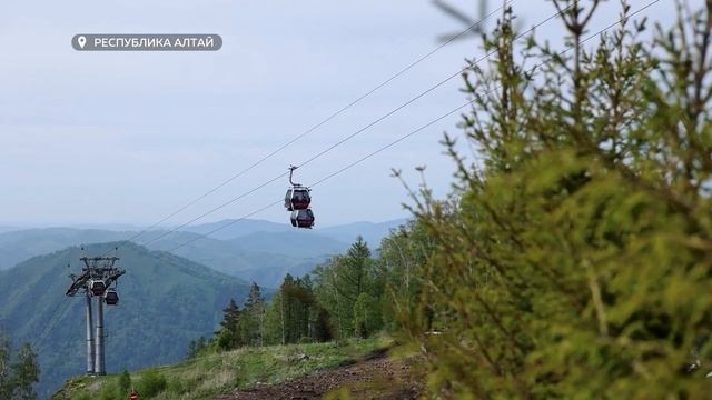 "Будни" ("Будни", 10.06.25г., Бийское телевидение)