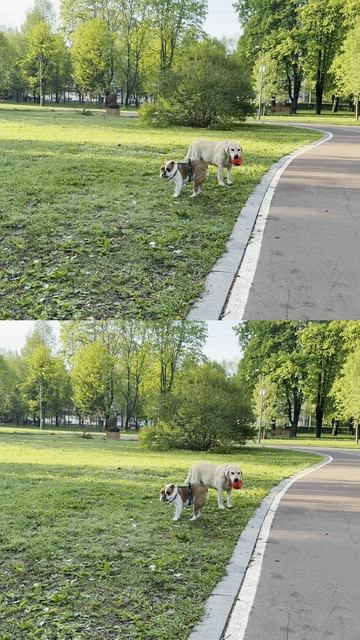 Дружба))