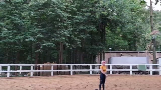 Конноспортивный клуб. Парк Останкино