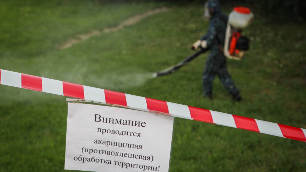 Более трех миллионов россиян привились от энцефалита