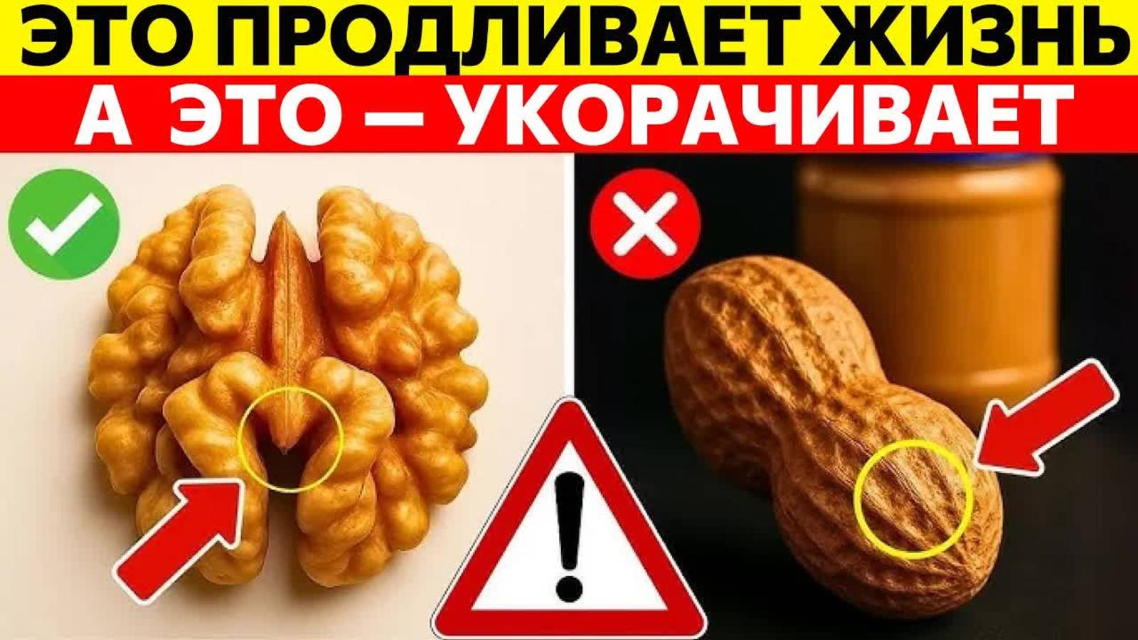 Эти 4 ореха нужно есть а к этим 4 — лучше не прикасаться