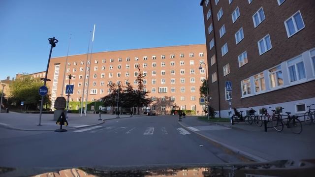 МИФ ПРО ВЯЛОГО МЕДВЕДЯ❗ ПОЧЕМУ УКРАИНА УВЕРЕНА В ПОБЕДЕ ❗