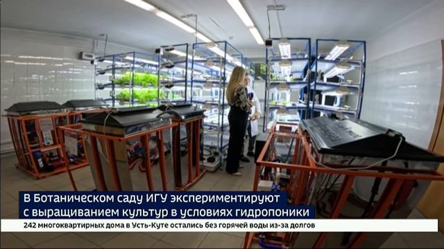 О вкусах — спорят.. В лаборатории Ботанического сада ИГУ экспериментируют с выращиванием культур