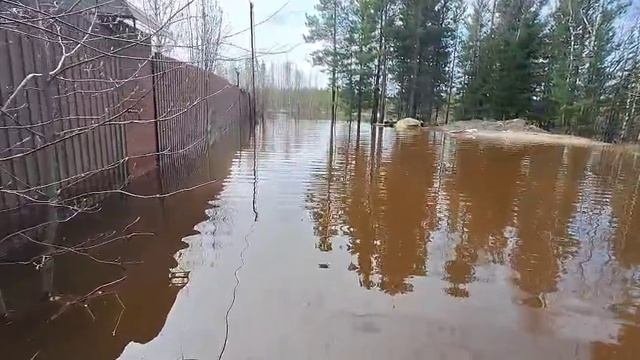 Тарко Сале потоп на дачах