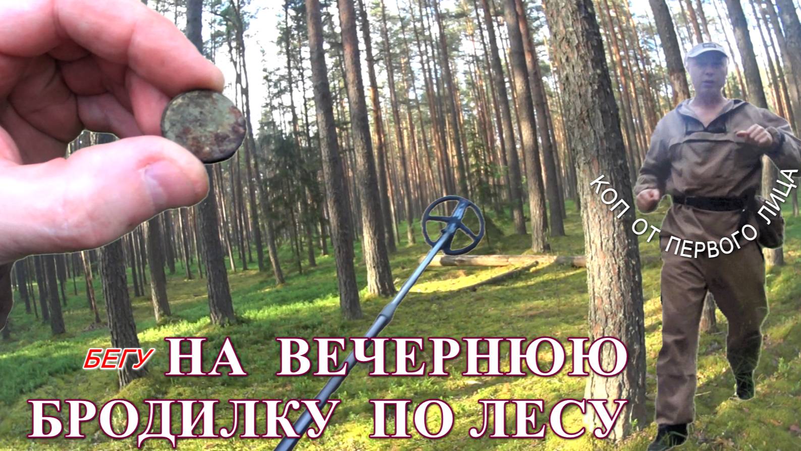 ВЕЧЕРНЯЯ  БРОДИЛКА  ПО ЛЕСУ  С  МЕТАЛЛОИСКАТЕЛЕМ / 9 ИЮНЯ