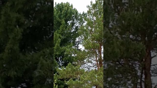 1000021899.mp4