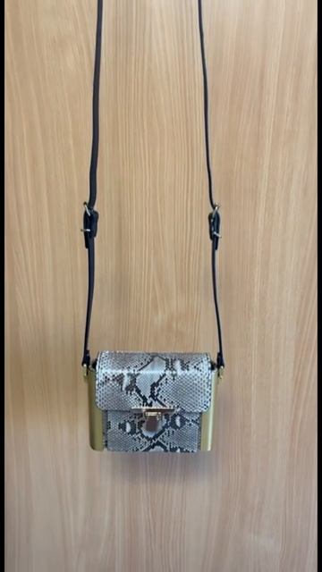 Lanvin python bag