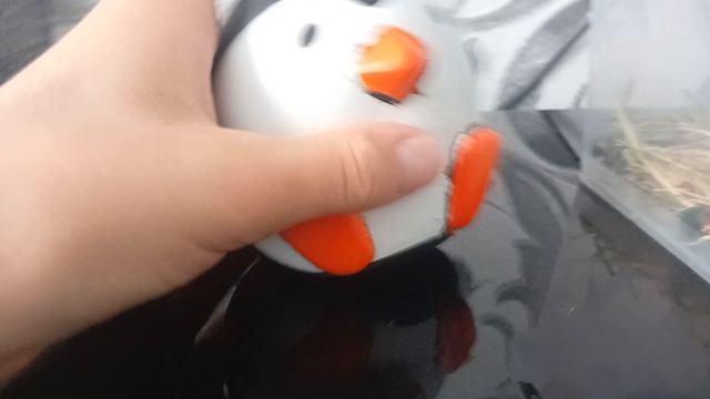 Чижик, снова чижик.