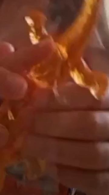 РАСПАКОВКА 😜😊 новой ящерки шорс