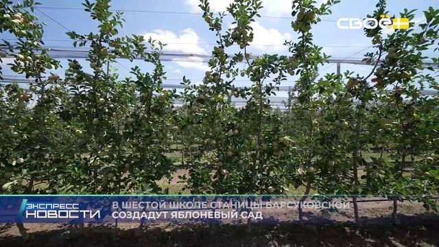 Экспресс новости на Своём от 10 июня 2025г. 16:30