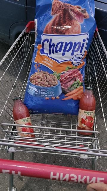 Волшебники, спасибо за оперативную помощь! Завтра повезу вкусняшки и сухой корм хвостикам.