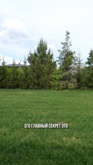 СМОТРЕТЬ ПОЛНЫЙ ОБЗОР ДОМА  #загородныйдом #дизайнинтерьера #москва