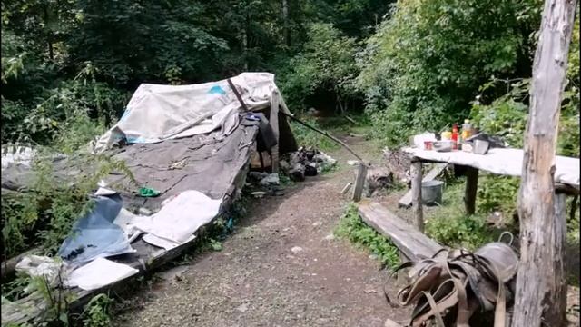 08.2019 Семеновка - Ореховка