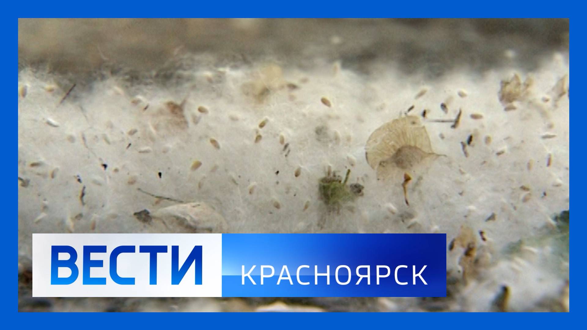 Вести. Красноярск от 04.06.25