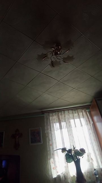 ........