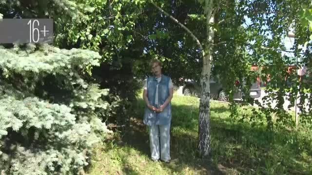 Новости Пестречинского района