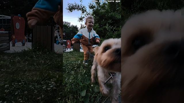2025 06 10 ФОТО ДНЯ 4К.mp4