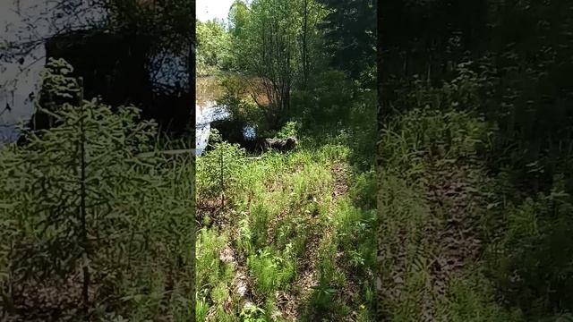 1000041723.mp4