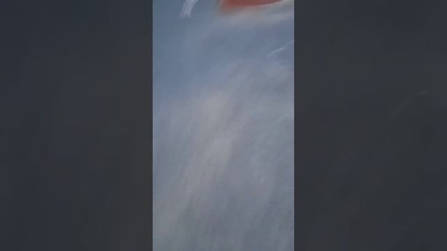Подборка видео с 2022 года!