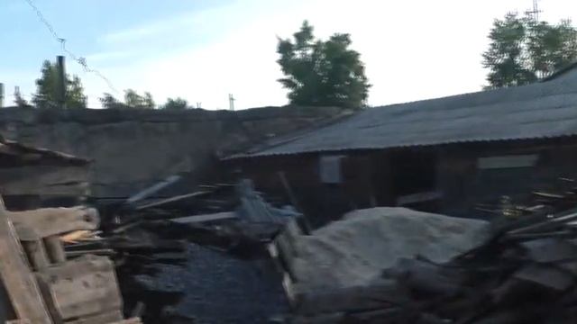 Голуби  беспризорные на кормёжке